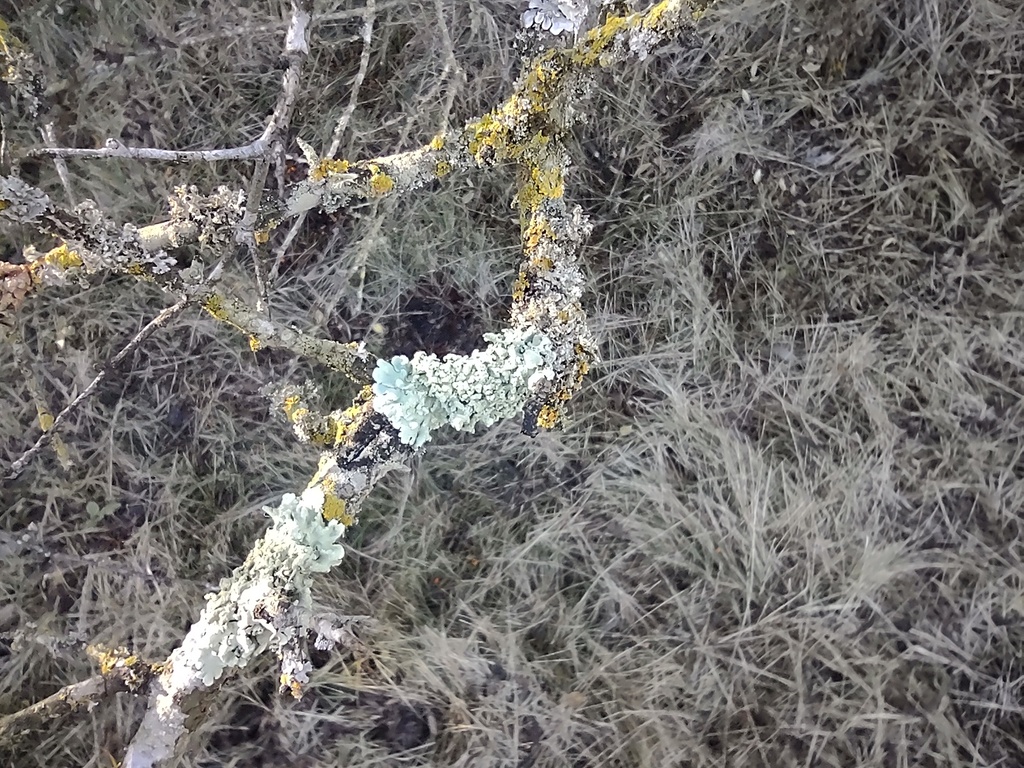 No s'ha trobat l'arxiu